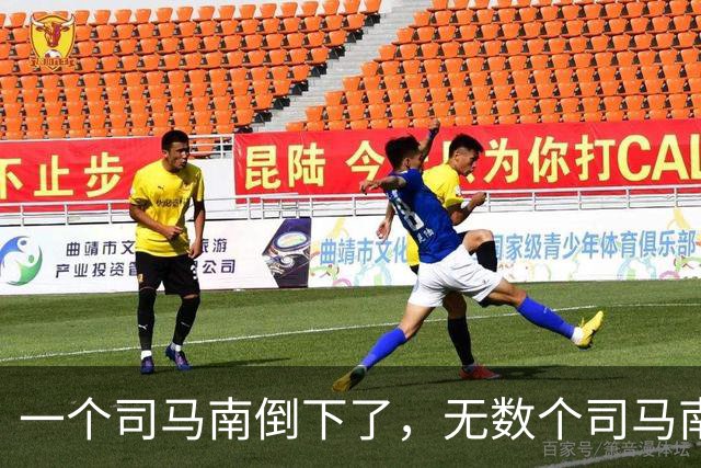 一个司马南倒下了，无数个司马南站起来了
