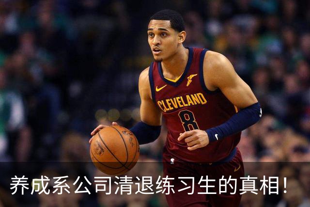 养成系公司清退练习生的真相！