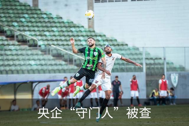 央企“守门人”被查