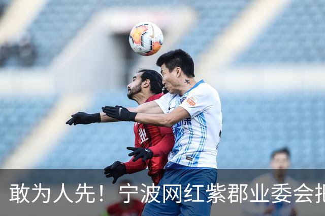 敢为人先！宁波网红紫郡业委会把长期欠物业费业主给强制执行了！