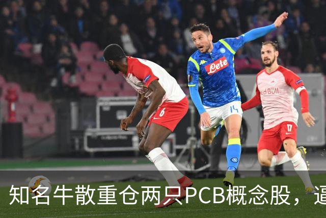 知名牛散重仓两只PCB概念股，逼近举牌线