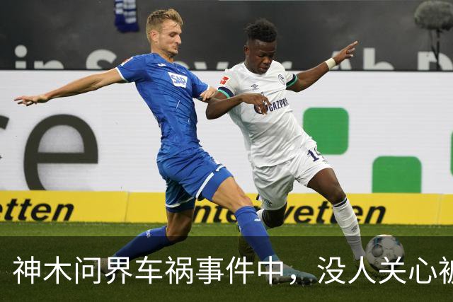神木问界车祸事件中，没人关心被烧死的那个人