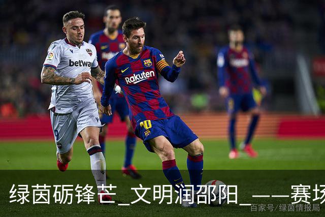 绿茵砺锋芒 文明润邵阳 ——赛场逆势突围挺进八强 文明拼搏激活城市奋进新动能