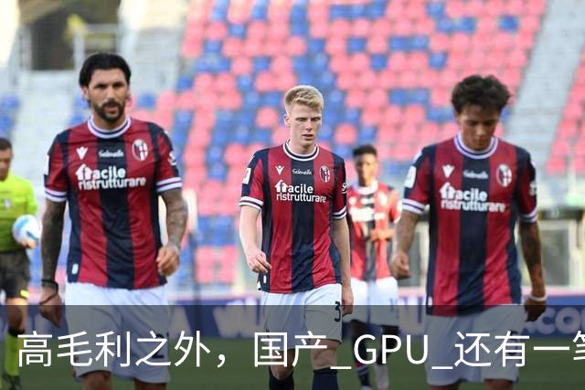 高毛利之外，国产 GPU 还有一笔 “软件账”